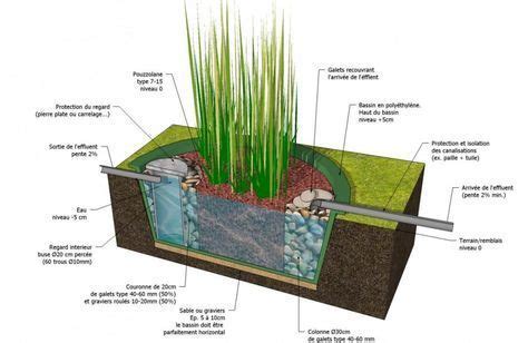 Phytoépuration 3D | fb-multimédia | Phytoépuration, Jardin d'eau, Jardinage hydroponique