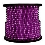 Purple Rope Light | LED Rope Lighting | 1000Bulbs.com