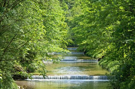 Free picture: river, wood, summer, nature, water, leaf, tree, landscape