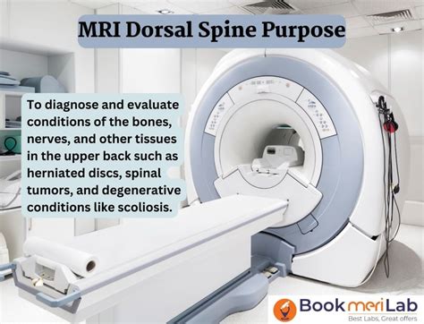 MRI Dorsal Spine: Price, Purpose, Procedure & Results [2024]