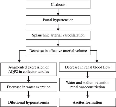 Figure 1 from Pathophysiology of ascites and dilutional hyponatremia ...