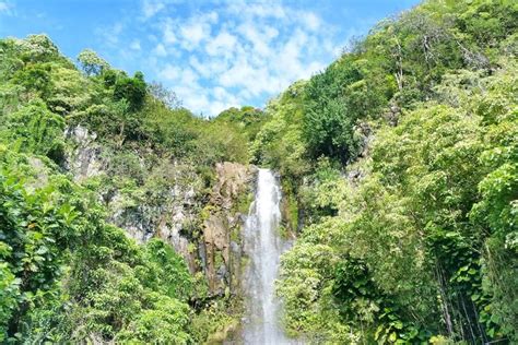 10+ Road to Hana waterfalls in Maui near Hana Highway 🌴 swimming ...