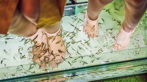 Fish pedicure | Fish Pedicure Benefits | Fish Pedicure Risks | HerZindagi