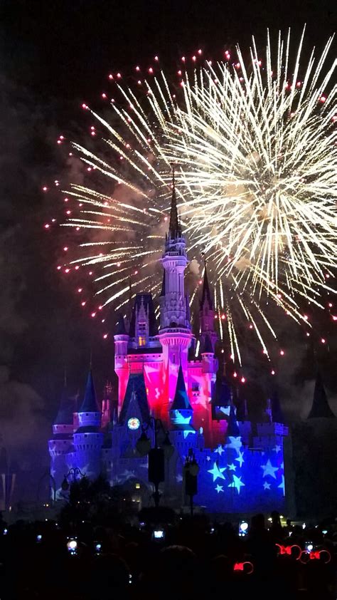 WDW fireworks | Happiest place on earth, Disney love, Disney ears