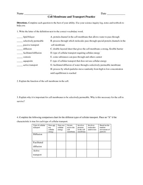 Cell Membrane Transport Worksheet Answers