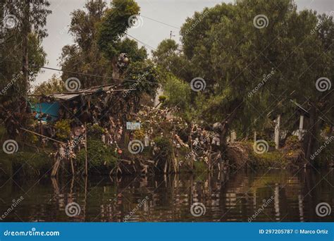 Island of the Dolls in the Channels of Xochimilco in Mexico City Stock ...