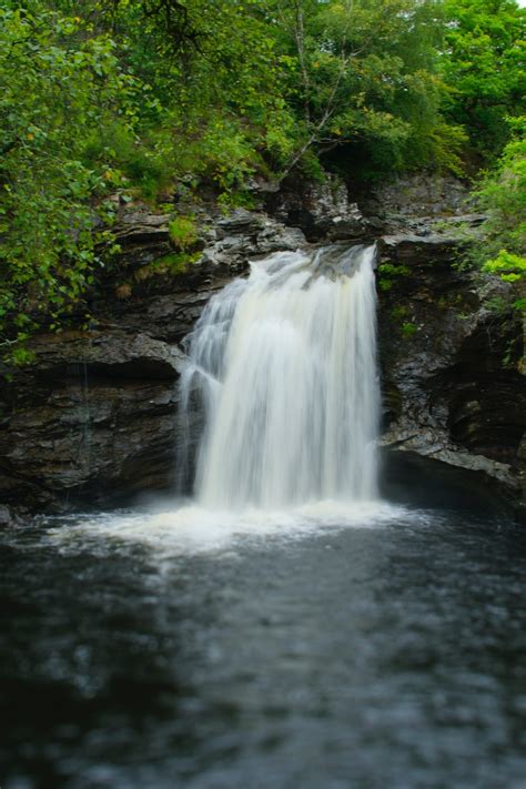 Trees over Waterfall · Free Stock Photo