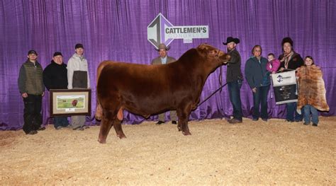 Red Angus Cattle Shine at Cattlemen’s Congress | Morning Ag Clips