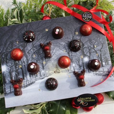 Luxury chocolate Christmas advent calendar – vegan friendly – Iguana ...