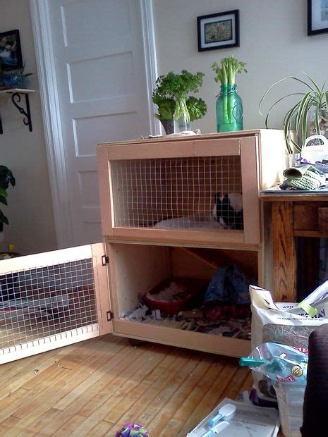 50 DIY Rabbit Hutch Plans to Get You Started Keeping Rabbits