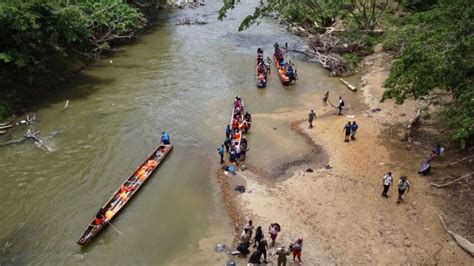 ¿Cómo es la selva del Darién, la trampa mortal que cruzan los migrantes ...