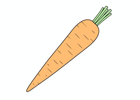 How to Draw a Carrot Step by Step - EasyLineDrawing