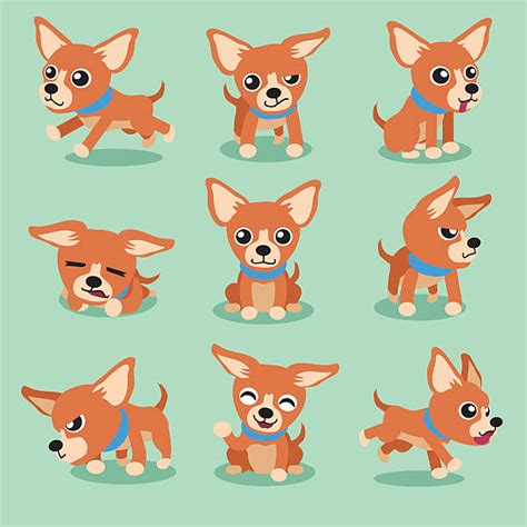 Royalty Free Chihuahua Clip Art, Vector Images & Illustrations - iStock