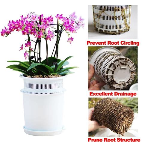 Meshpot 5" 6" and 8 Inches Plastic Orchid Pot With Hole for Excellent Drainage | Orchid planters ...