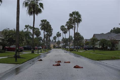 Tropical Storm Elsa makes landfall; one killed in Florida, several ...