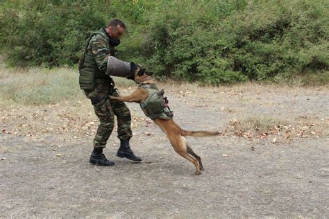 Exercises at the Unconventional Warfare Training Center - Photos | DEFENCE ReDEFiNED | News on ...