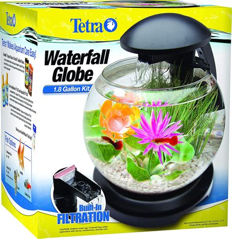 Best Water Filter For 1 Gallon Betta Fish Tank - Home Tech Future