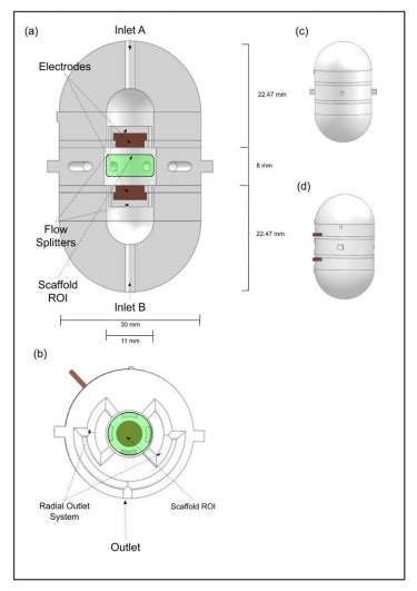 Cell Culture Bioreactor for Tissue Engineering - Perfect 3D Printing ...