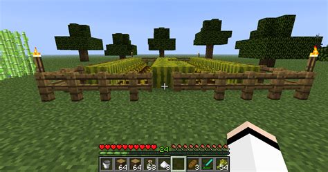 Melon - Minecraft Wiki