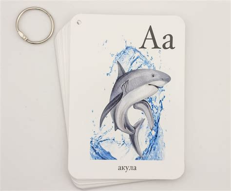 Russian Alphabet Flash Cards – livingwaterdesign