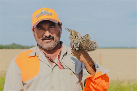 Wild Quail Hunting in Mexico | Rancho Ala Blanca