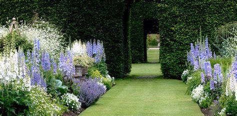 White and blue herbaceous border. | The Back Garden | Pinterest | Gardens, Lake district and Lakes