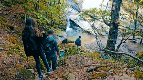 Hiking Tour "Lost in the Forest" by Pelion Scout