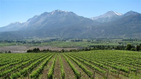 The Most Memorable Wine Tour in Mendoza - Travel Observed