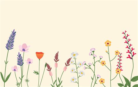 Variety of Wild Flowers Vector Illustration - ID: 4308