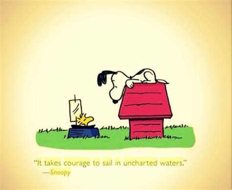 Are the Peanuts quotes really from the comic strips? : r ...