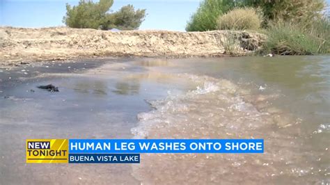 5-year-old girl finds human severed leg in Buena Vista Lake in Bakersfield, California - ABC7 ...