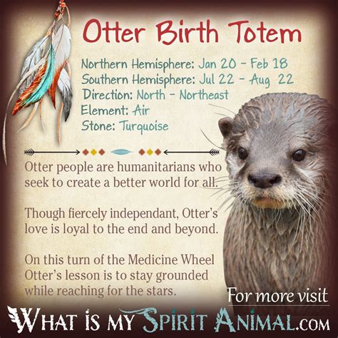 Animal Personality Test Otter | Who Im I