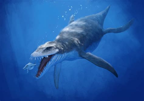 Liopleurodon Pictures & Facts - The Dinosaur Database