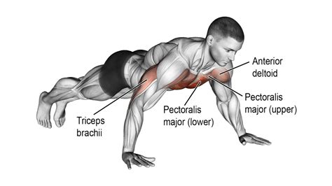 Wide Grip Push Ups: How To Do, Muscle Worked & Benefits