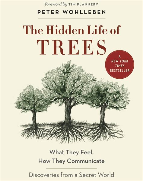 The Hidden Life of Trees - Andrea Pro