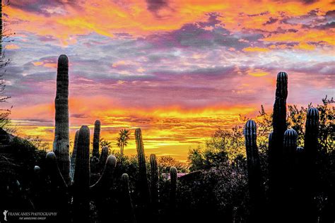 Phoenix Sunrise II Photograph by Franklin Ames - Fine Art America