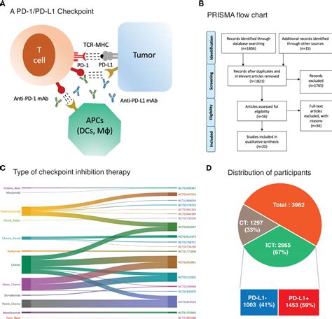 Frontiers | PD-L1 expression as biomarker of efficacy of PD-1/PD-L1 checkpoint inhibitors in ...