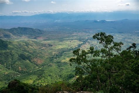 Usambara Mountains - Ultimate Hiking Guide | Discover Discomfort