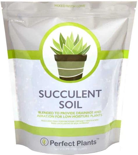 8 Best Succulent Soil Reviews: What is Best to Grow Beautiful Succulent ...