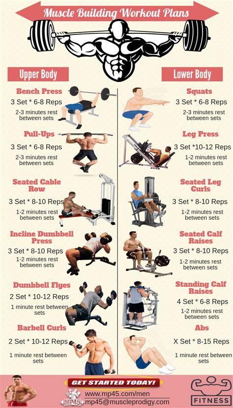 Strength Training Exercises For Beginners At Home at Victor Walker blog