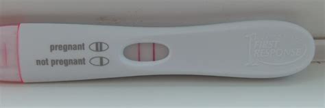 What Is An "Online Pregnancy Test"? | Pregnancy articles | Family Health center | SteadyHealth.com