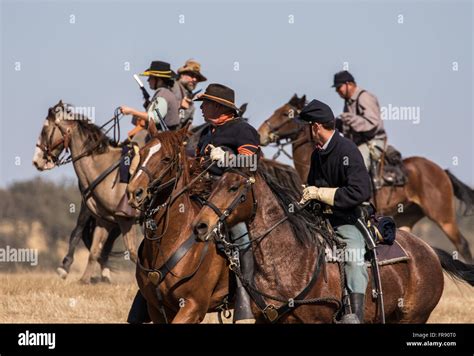 Cavalry Scouts in Action at the Hawes Farm Civil War Reenactment in ...