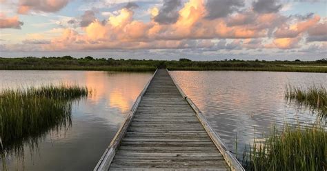 Guide to Galveston Island State Park | Visit Galveston