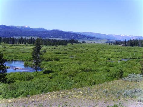 Yellowstone tours from Big Sky - Yellowstone Tours