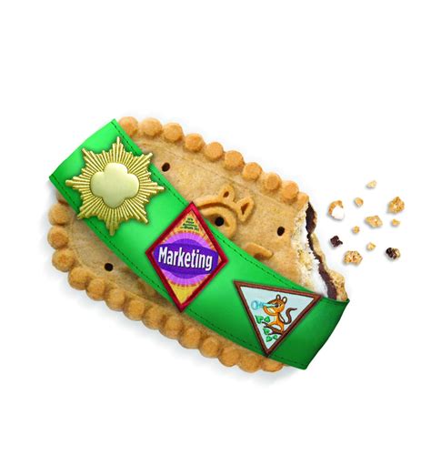 New S'mores Girl Scout Cookies Are Here to Mark 100 Years | TIME