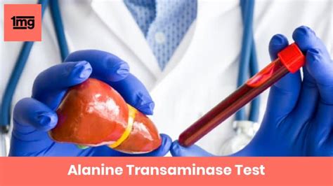 Alanine Transaminase (ALT, SGPT): Purpose & Normal Range of Results | 1mg