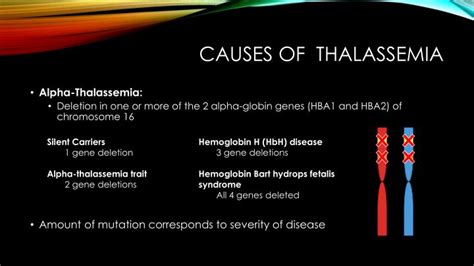 PPT - THALASSEMIA PowerPoint Presentation - ID:5780465