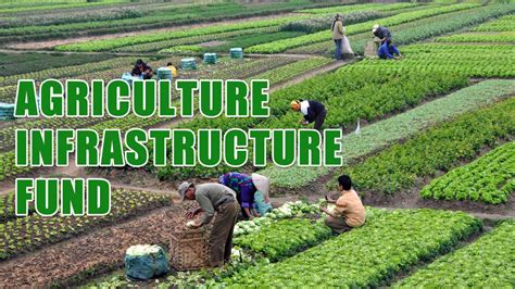 Agriculture Infrastructure Fund: Everything About Agriculture ...