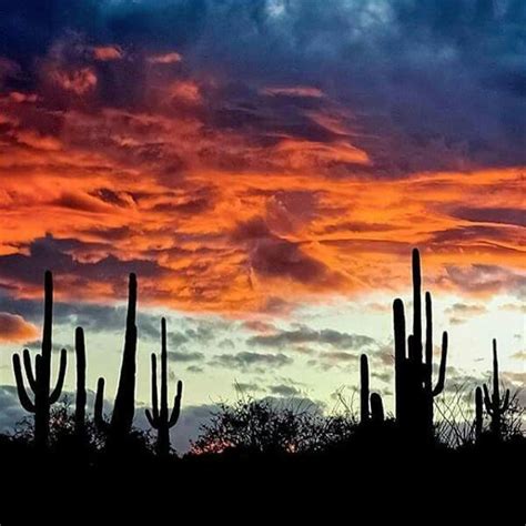 Sunrise in Tucson | Arizona sunrise, Tucson hotels, Arizona sunset