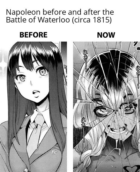 Battle of Waterloo (circa 1815) : r/HistoryMemes